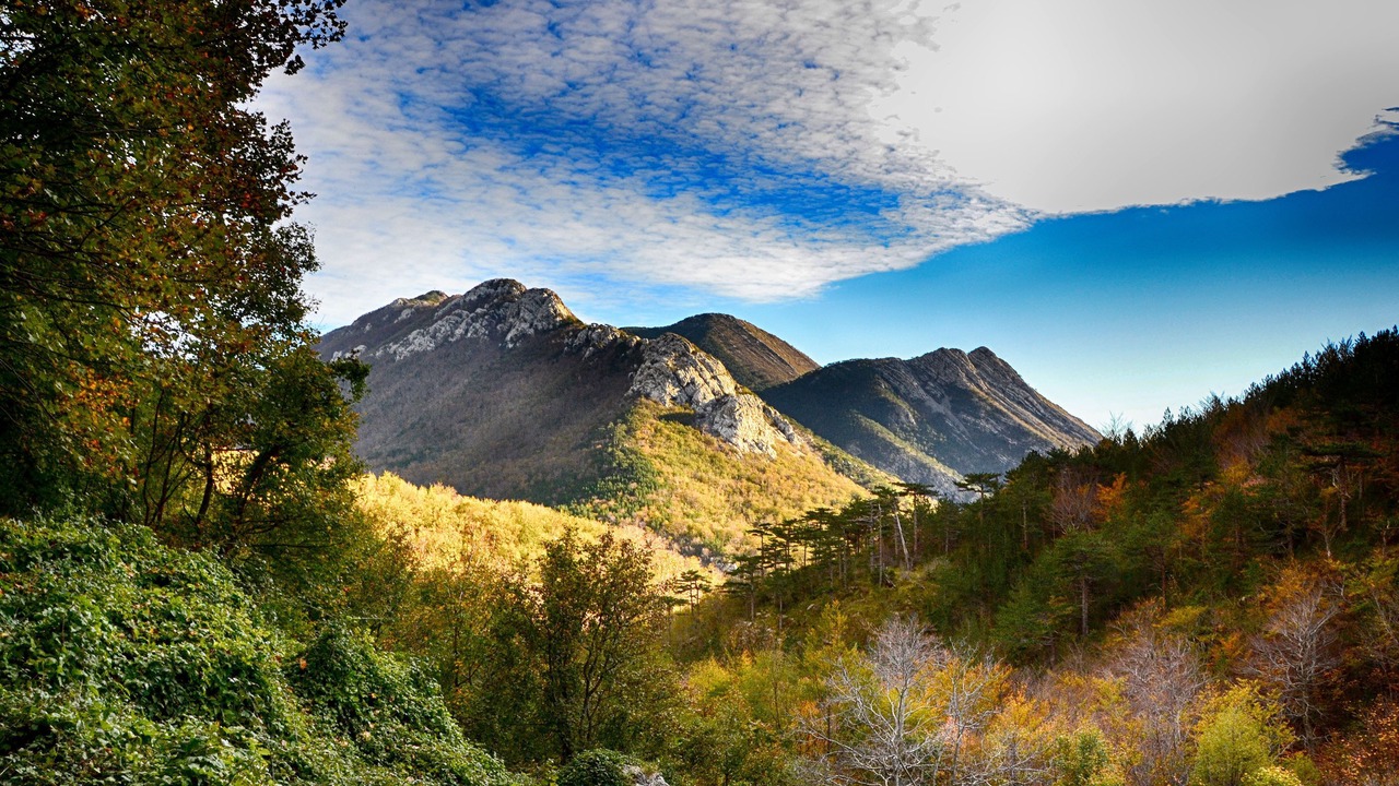 Photo of Outdoor in Seline