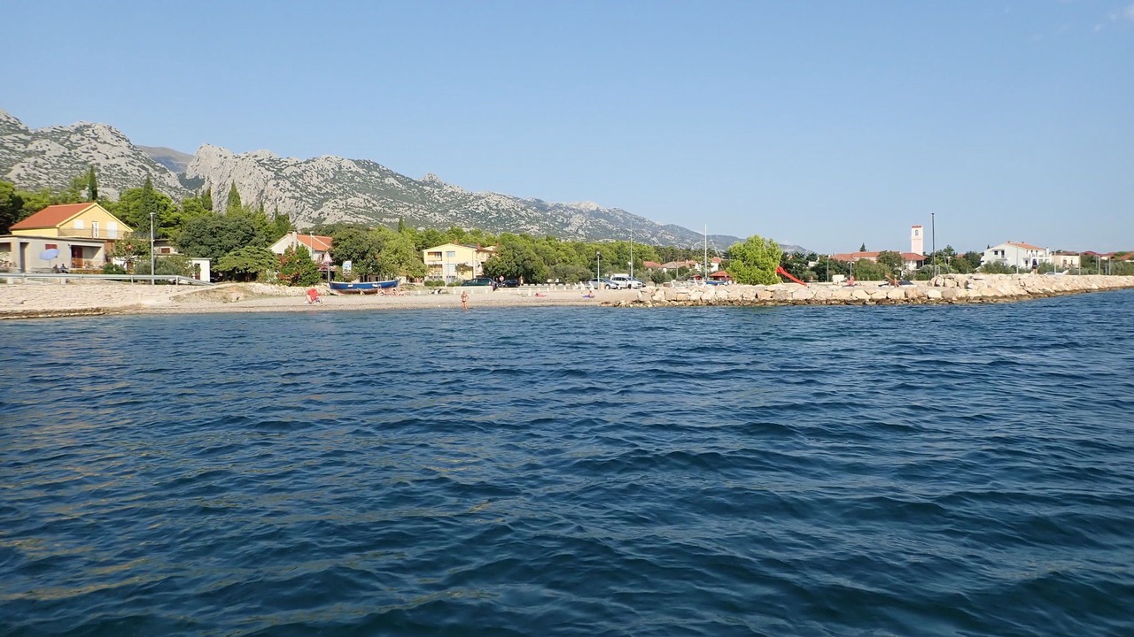 Photo of Others in Seline
