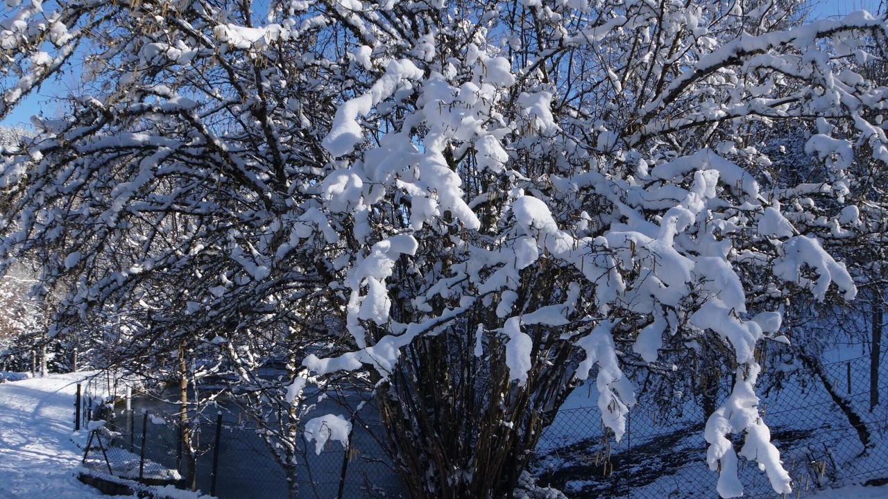 Photo of Others in Dommartin-les-Remiremont