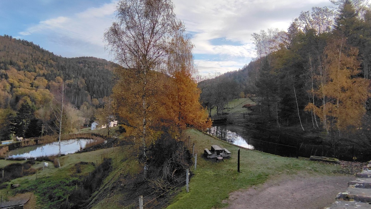 Photo of Others in Dommartin-les-Remiremont