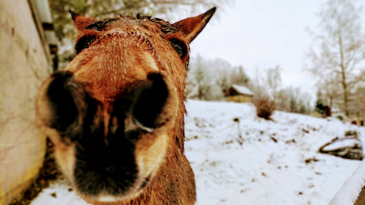 Photo of Outdoor in Dommartin-les-Remiremont