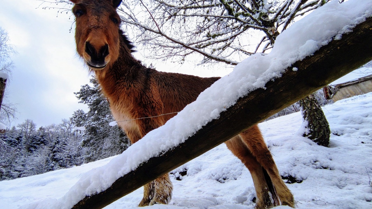 Photo of Others in Dommartin-les-Remiremont