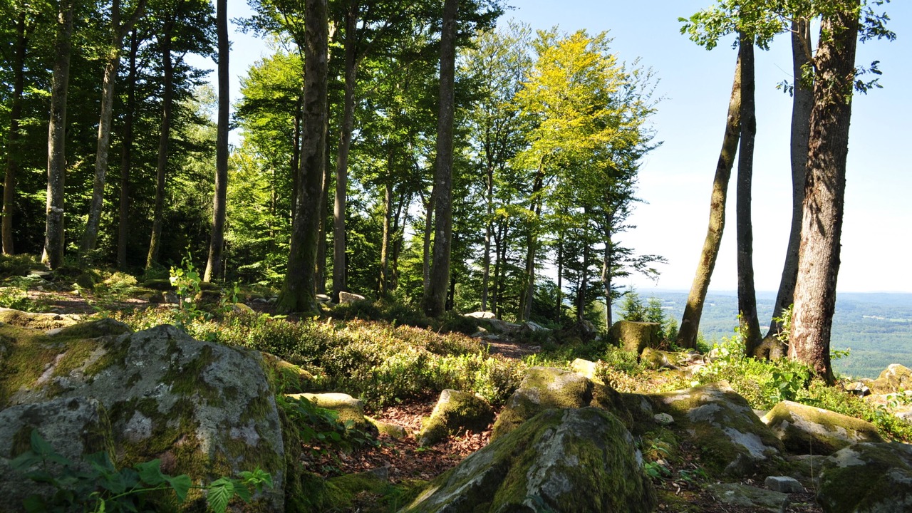 Photo of Outdoor in Dommartin-les-Remiremont