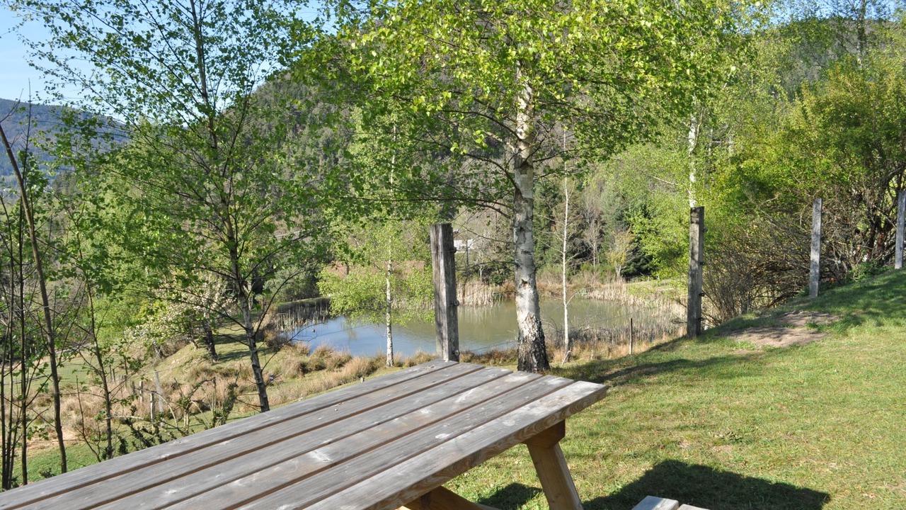 Photo of Outdoor in Dommartin-les-Remiremont