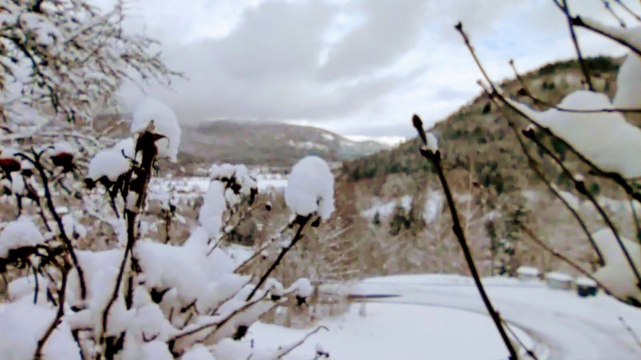 Photo of Outdoor in Dommartin-les-Remiremont