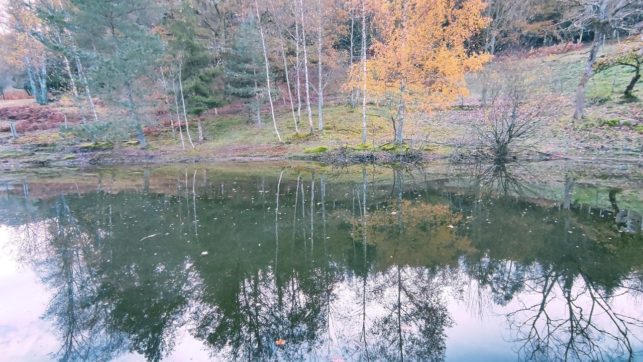 Photo of Outdoor in Dommartin-les-Remiremont