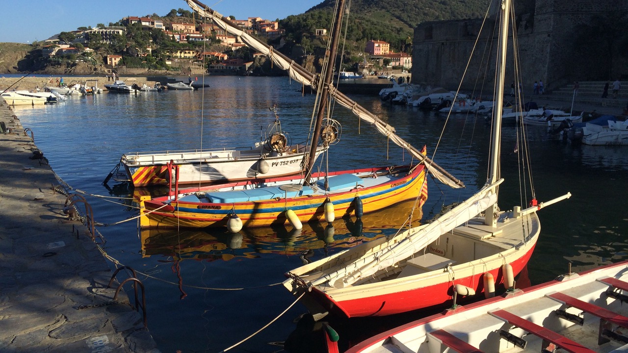 Photo of Others in Collioure