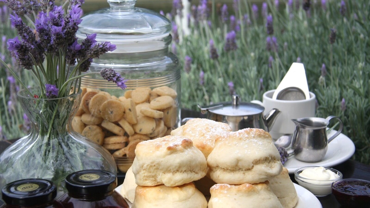 Photo of Others in Rosebud