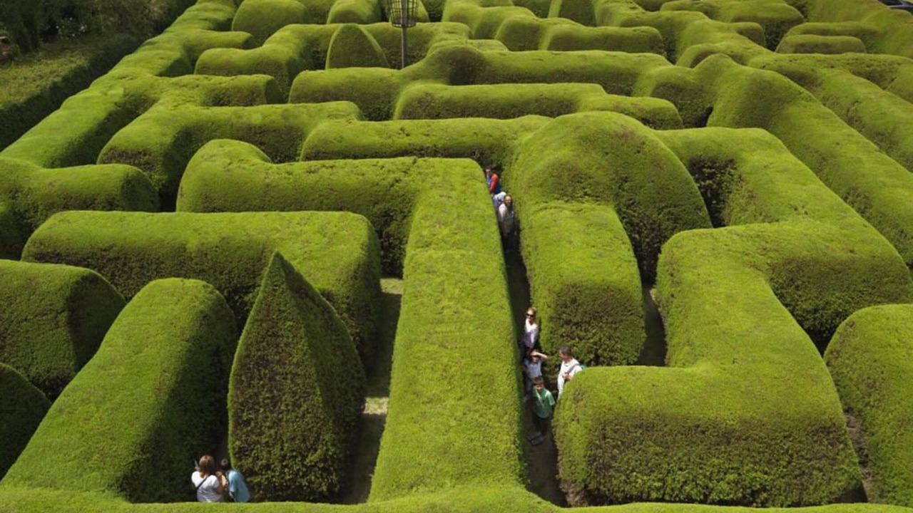 Photo of Others in Rosebud