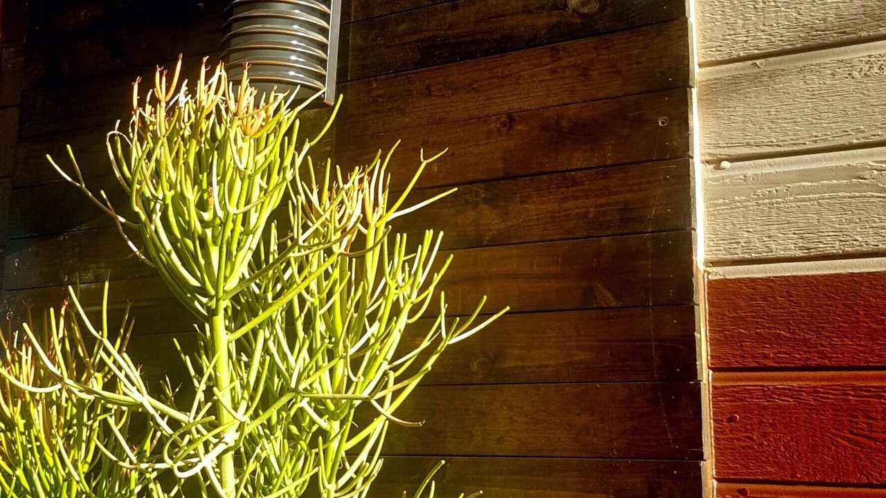 Photo of Outdoor in Los Feliz
