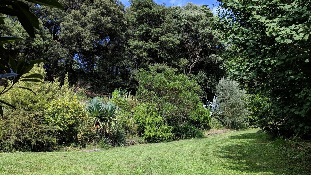 Photo of Outdoor in Arles-sur-Tech