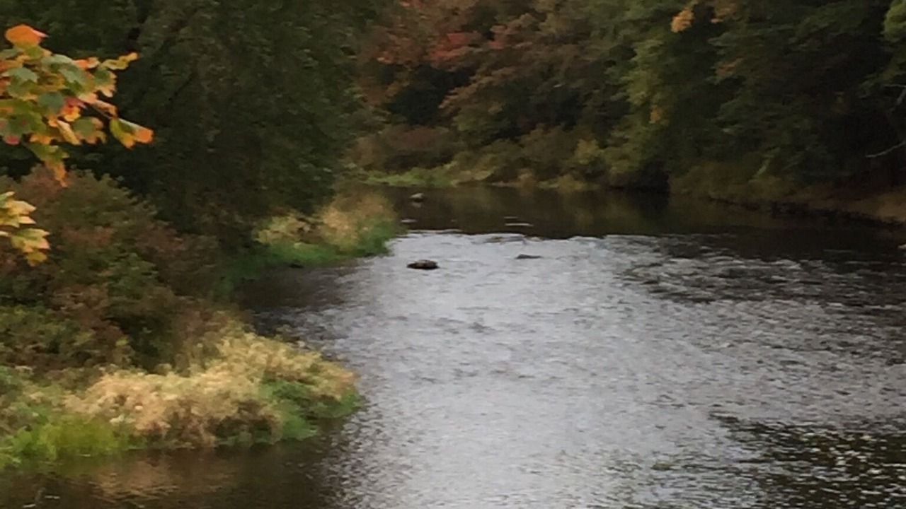 Photo of Others in Pocono Lake