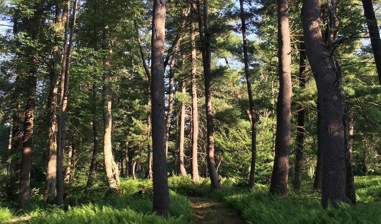 Photo of Outdoor in Pocono Lake