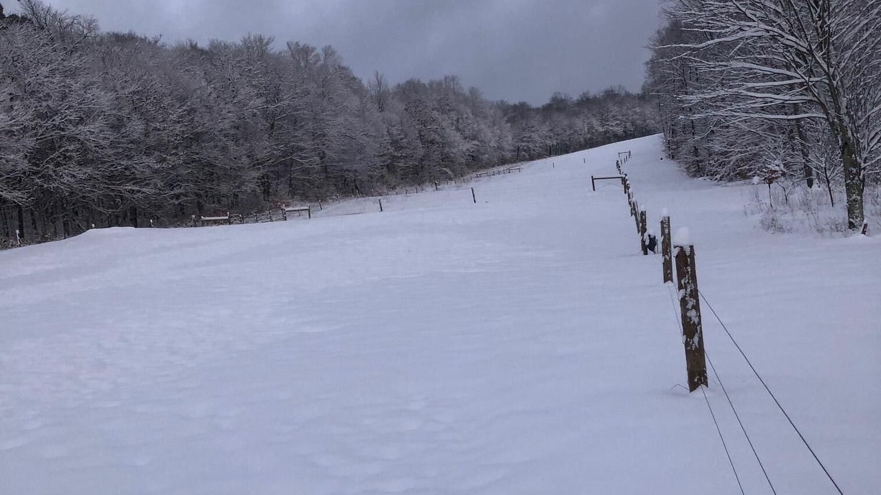 Photo of Others in Pocono Lake