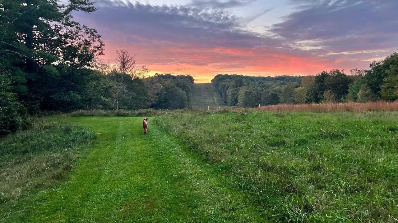 Photo of Outdoor in Pocono Lake
