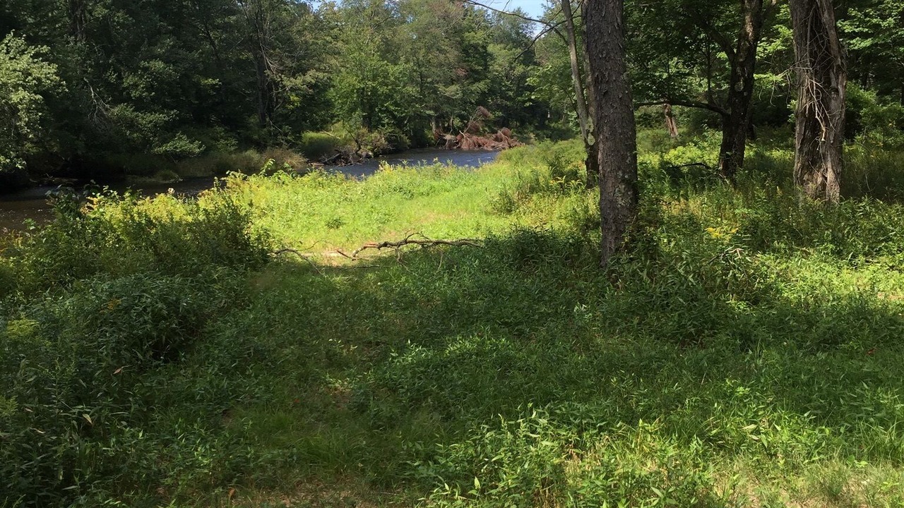 Photo of Outdoor in Pocono Lake