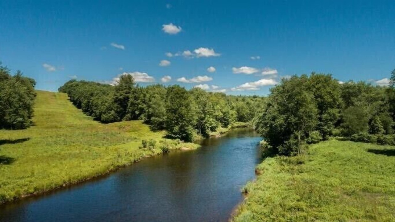 Photo of Outdoor in Pocono Lake