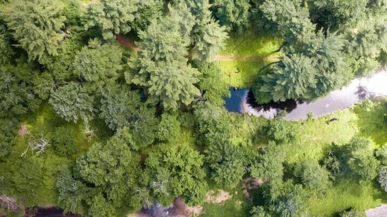 Photo of Outdoor in Pocono Lake