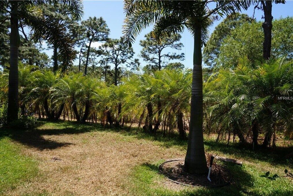 Photo of Outdoor in Rotonda Lakes