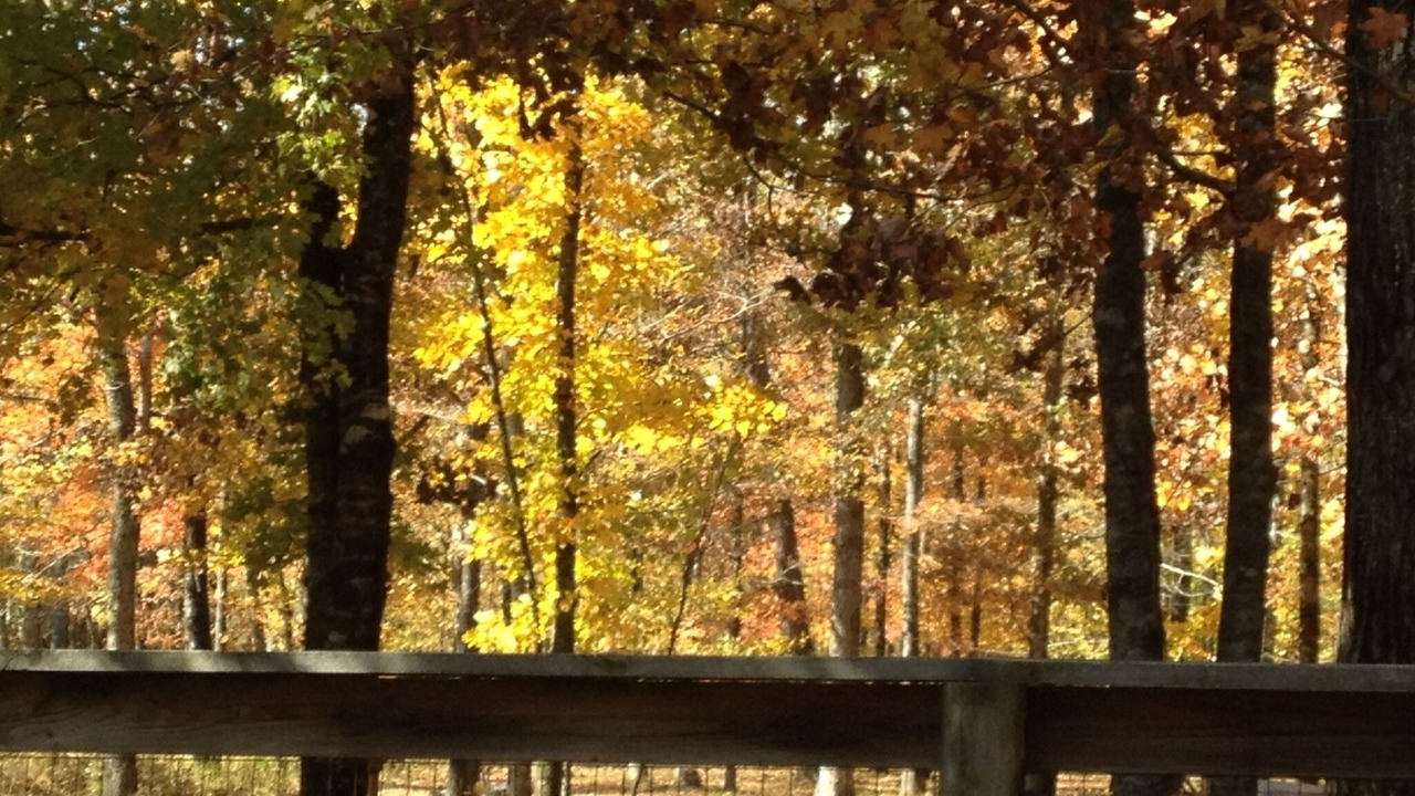 Photo of Others in Smithville