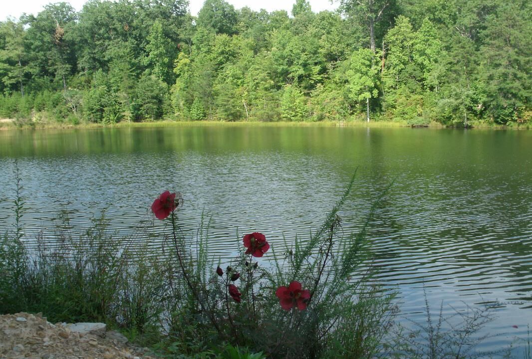 Photo of Others in Beattyville