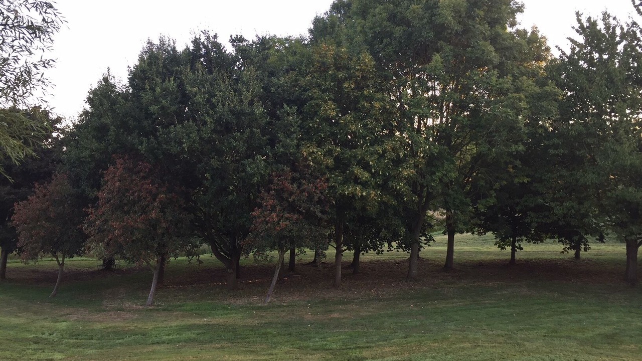 Photo of Others in Gilmorton