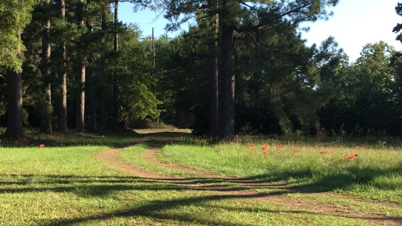 Photo of Outdoor in Keatchie