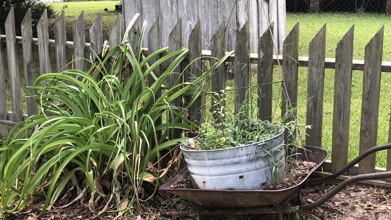 Photo of Outdoor in Keatchie