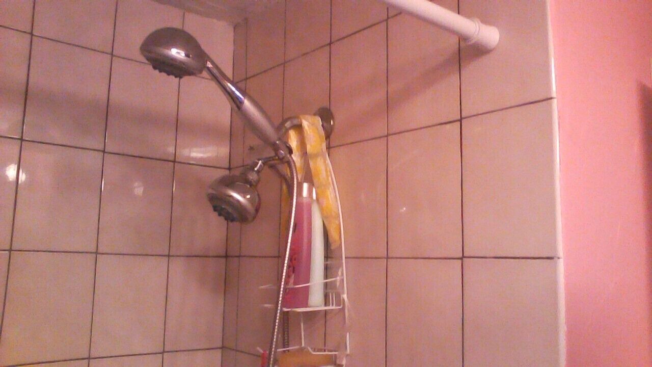 Photo of Others in Sixteen Acres