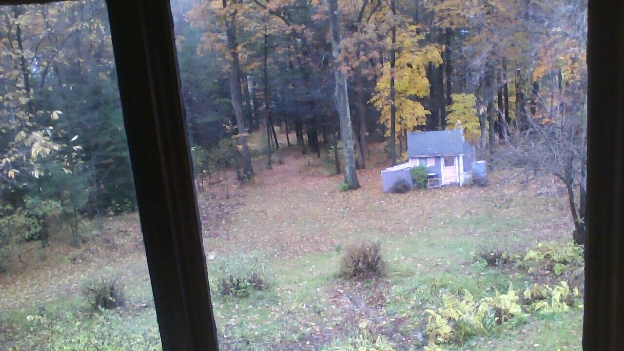 Photo of Others in Sixteen Acres