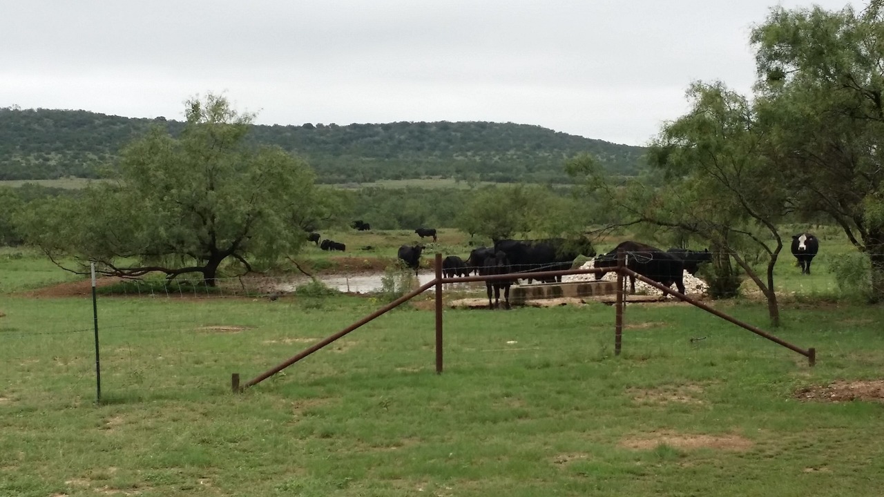Photo of Outdoor in Water Valley