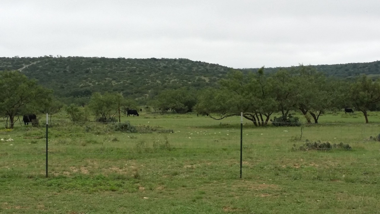 Photo of Others in Water Valley