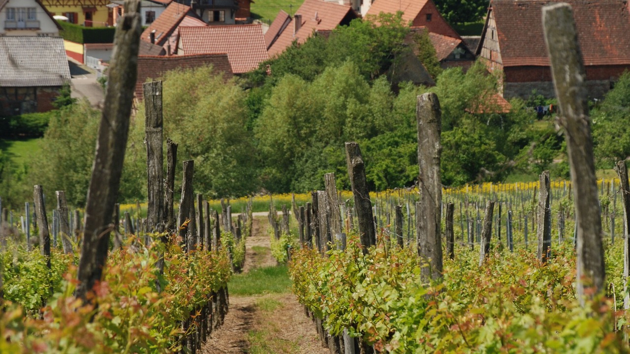 Photo of Outdoor in Cleebourg