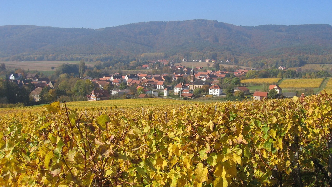 Photo of Outdoor in Cleebourg