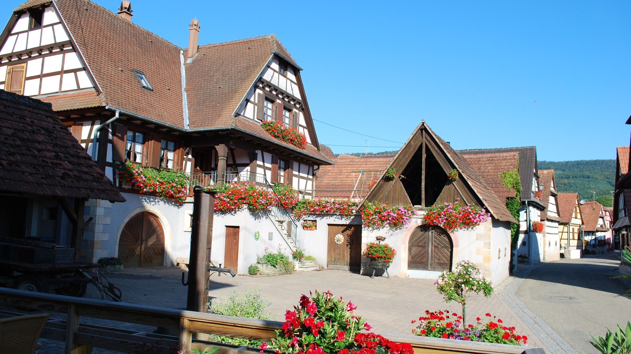 Photo of Outdoor in Cleebourg