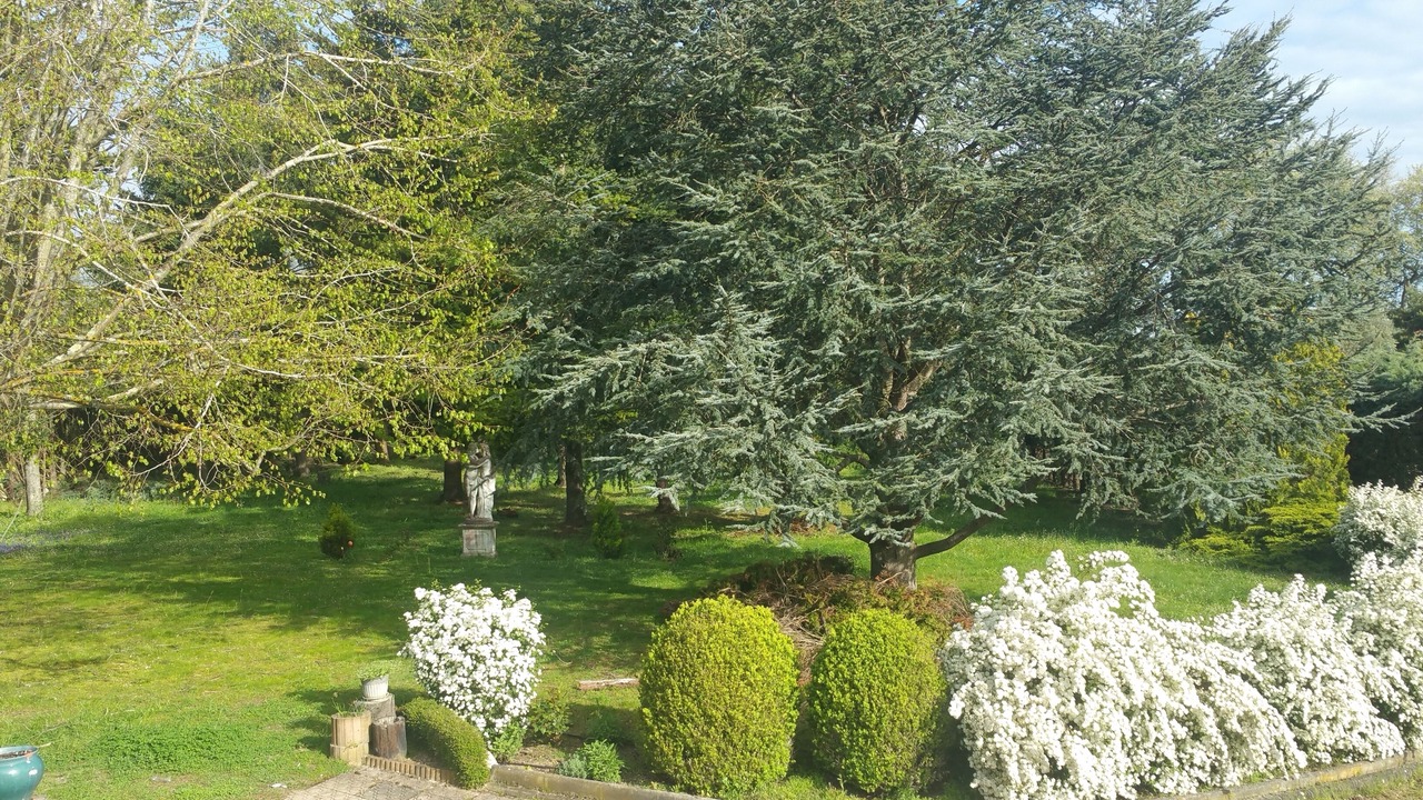 Photo of Outdoor in Baziege