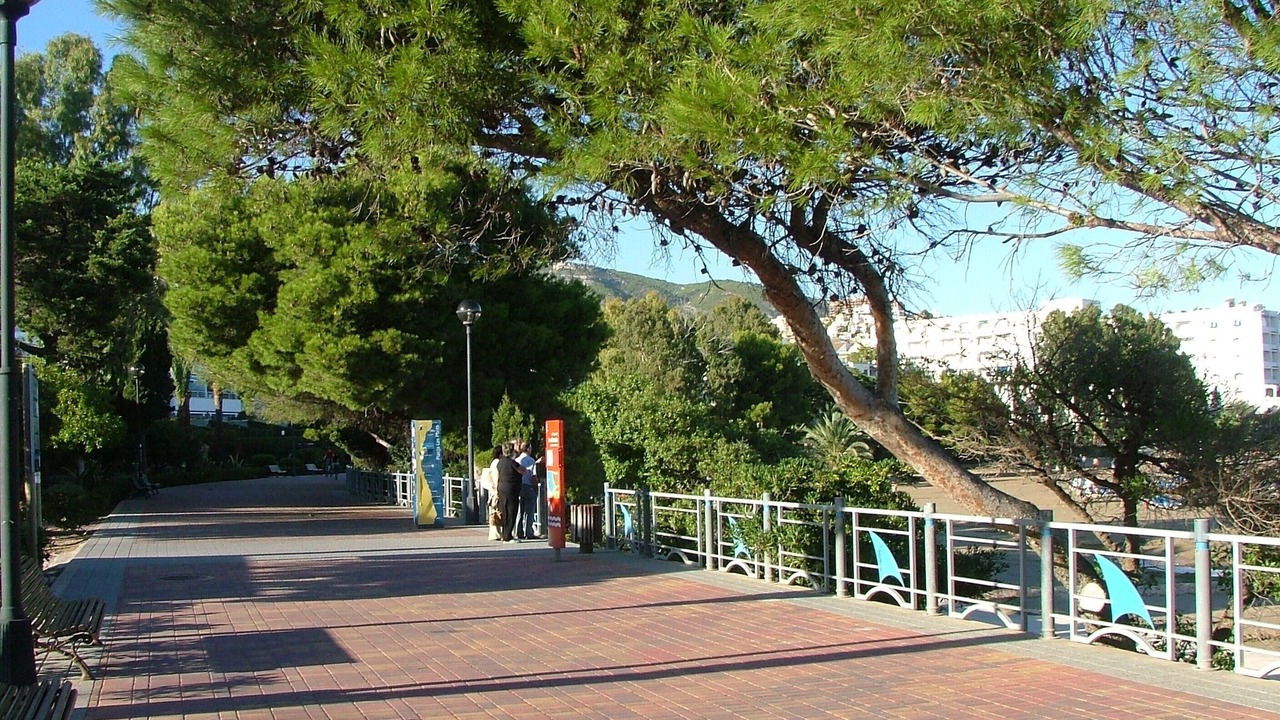 Photo of Others in Alcossebre