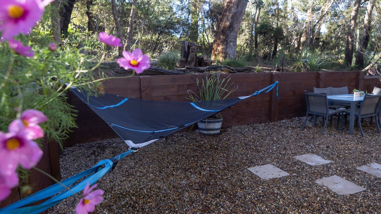 Photo of Outdoor in Blackheath