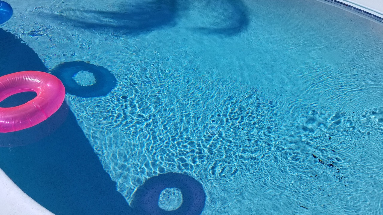 Photo of Outdoor in South Sarasota