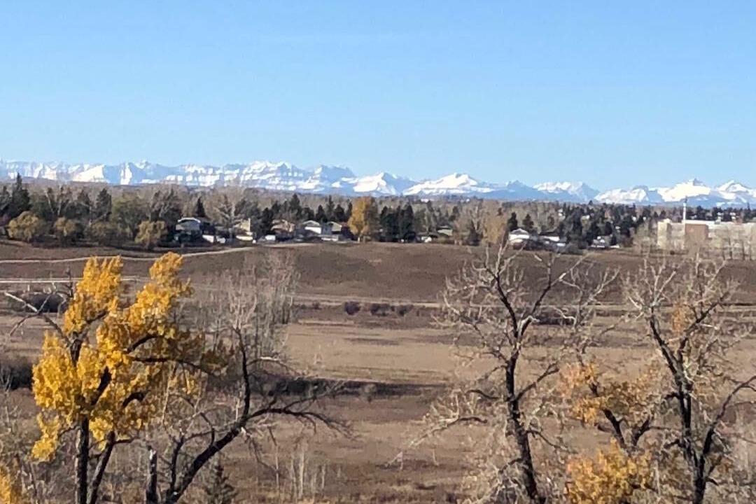 Photo of Others in Parkland