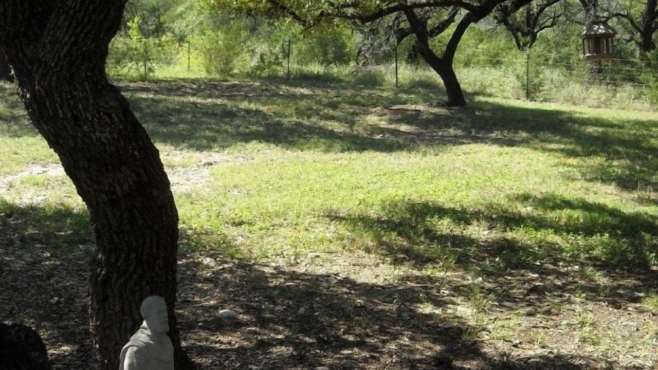 Photo of Others in Rio Frio