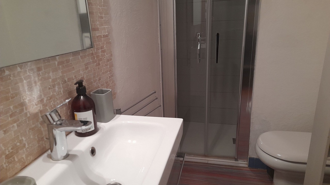 Photo of Bathroom in Druyes-les-Belles-Fontaines