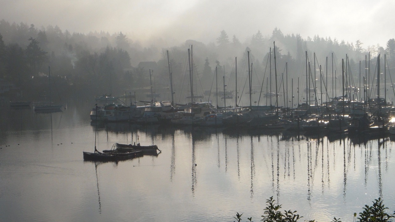 Photo of Others in Vashon Island