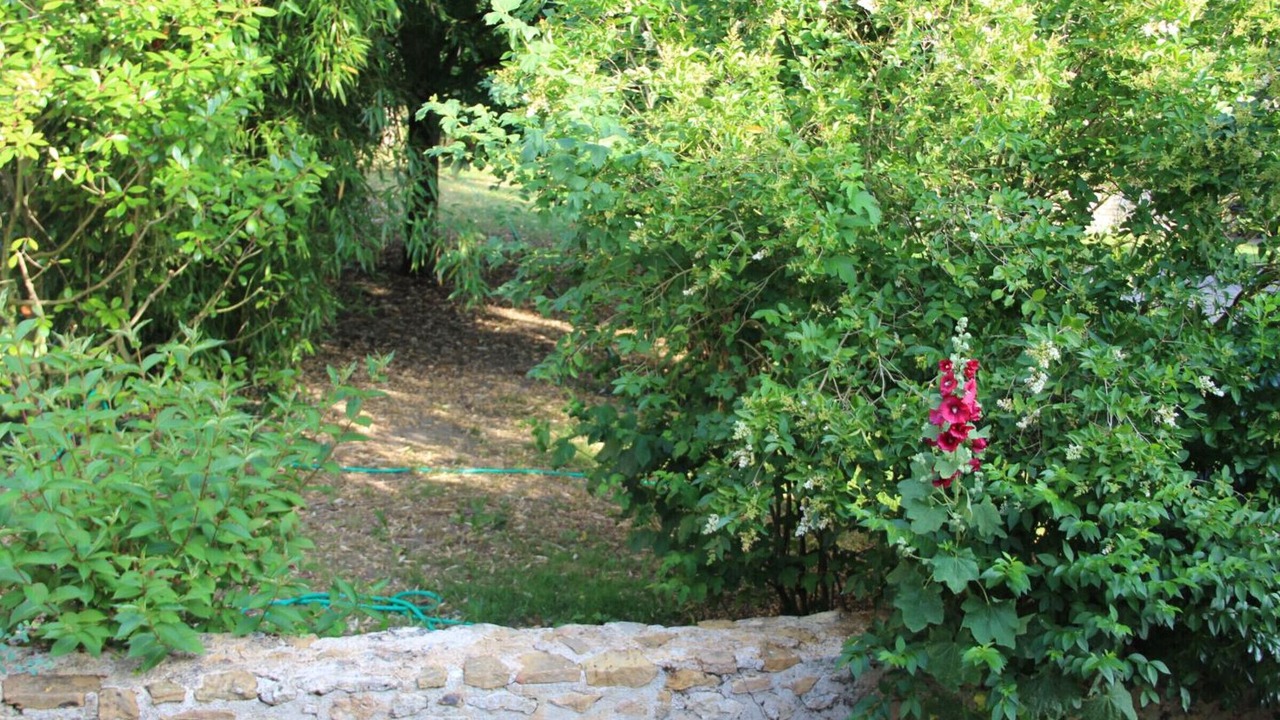 Photo of Outdoor in Cheille