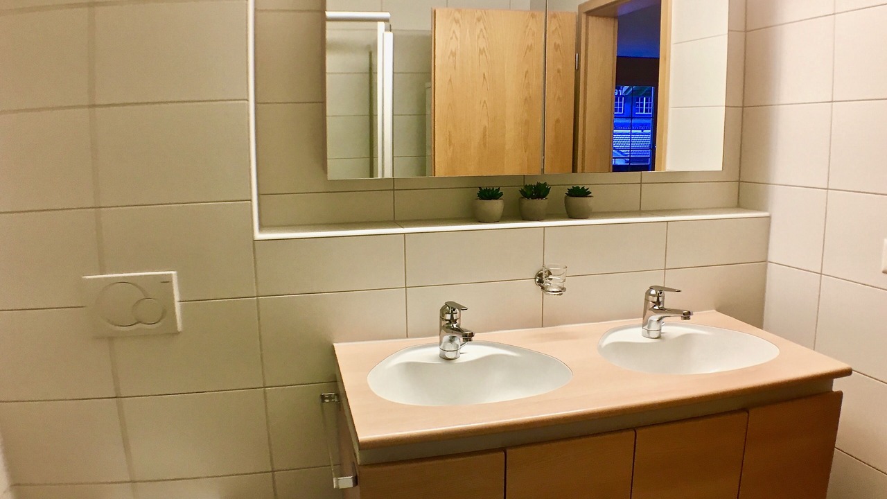 Photo of Bathroom in Lauterbrunnen