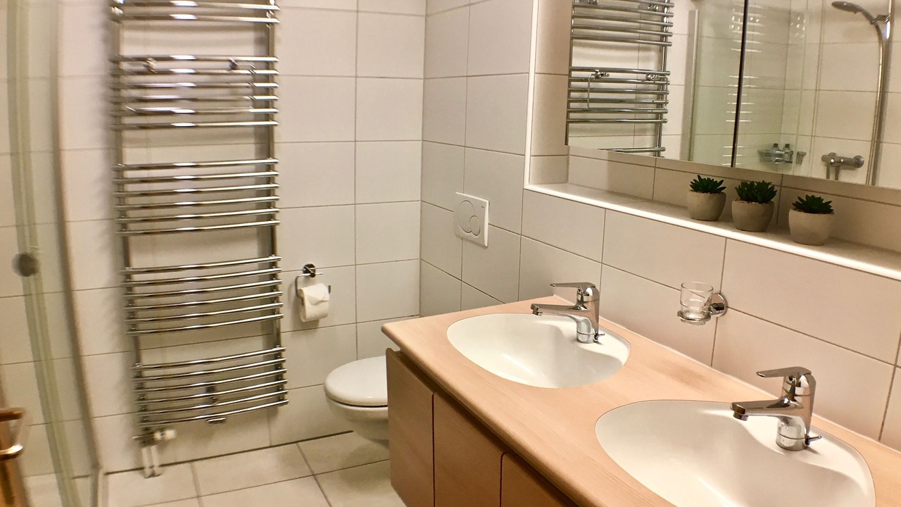 Photo of Bathroom in Lauterbrunnen