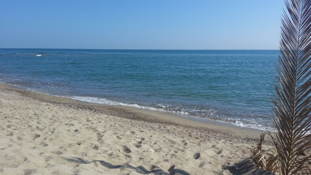 Photo of Others in Leucate