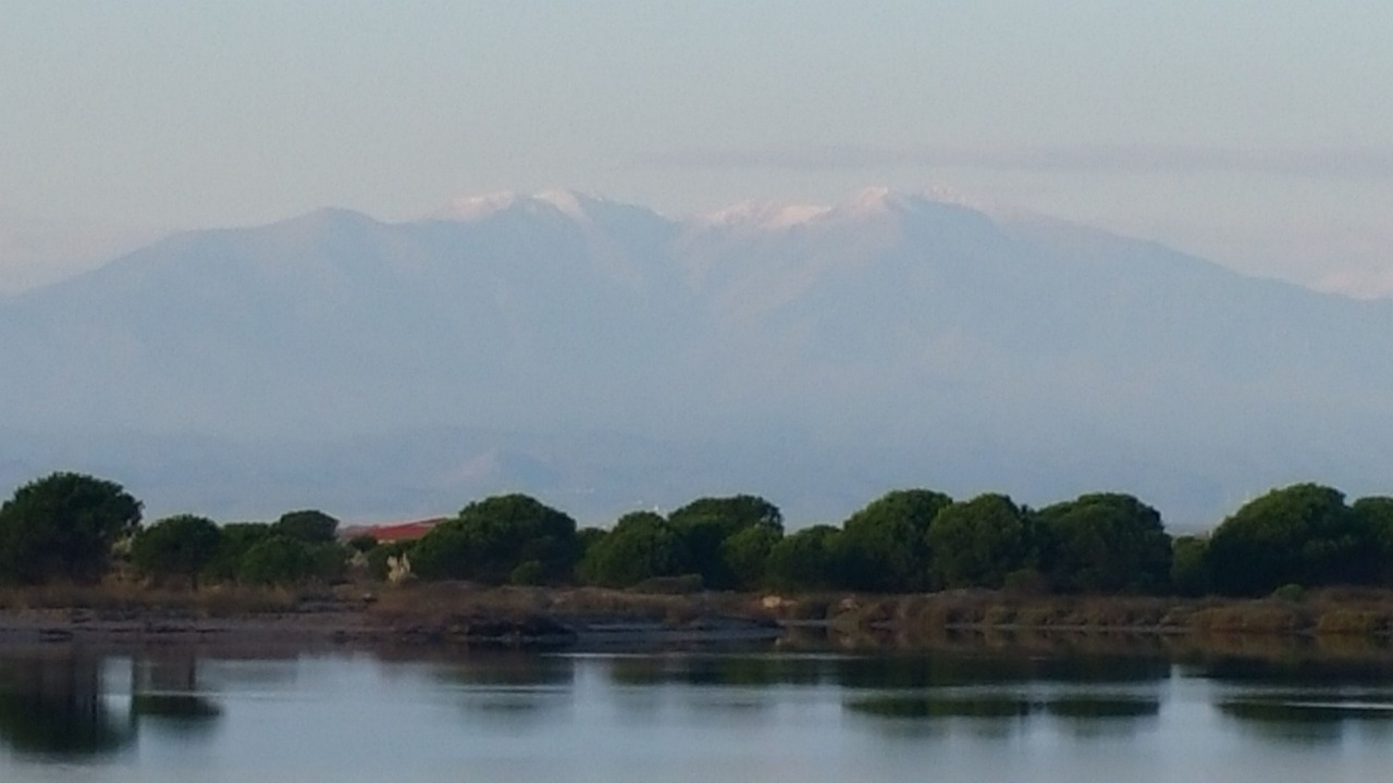 Photo of Others in Leucate