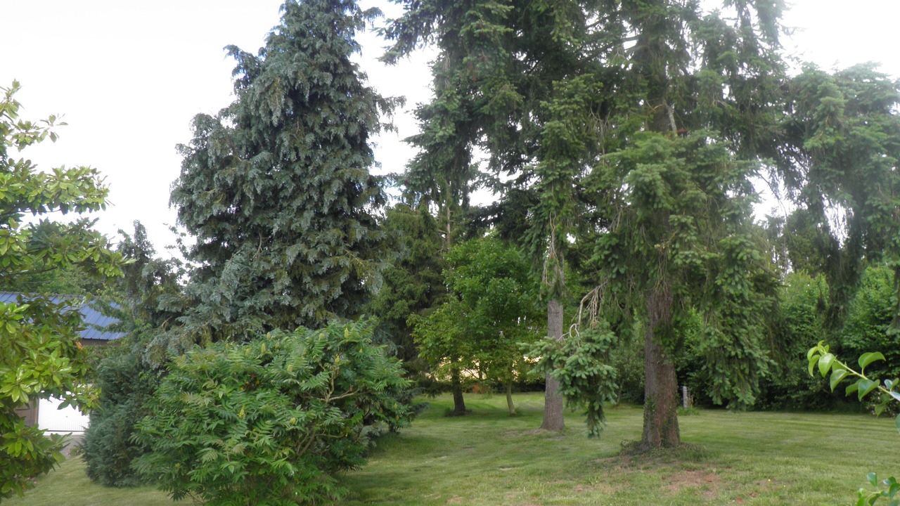 Photo of Outdoor in Bazouges-la-Perouse