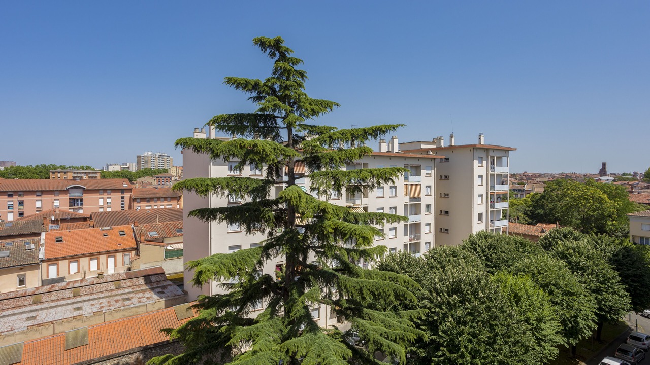 Photo of Outdoor in Arnaud Bernard